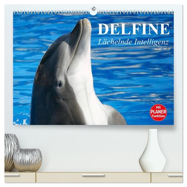 Delfine - Lächelnde Intelligenz (hochwertiger Premium Wandkalender 2026 DIN A2 quer) Kunstdruck in Hochglanz