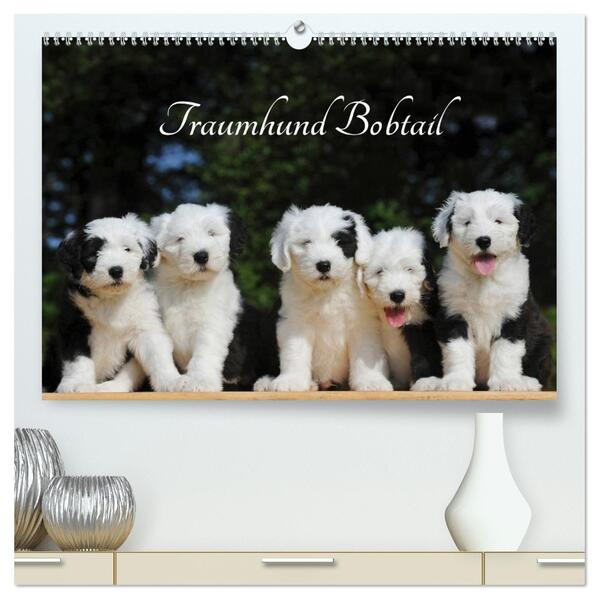 Traumhund Bobtail (hochwertiger Premium Wandkalender 2026 DIN A2 quer) Kunstdruck in Hochglanz