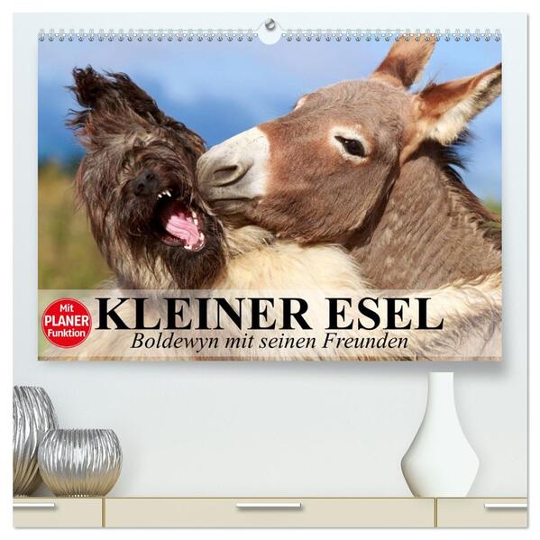 Kleiner Esel. Boldewyn mit seinen Freunden (hochwertiger Premium Wandkalender 2026 DIN A2 quer) Kunstdruck in Hochglanz