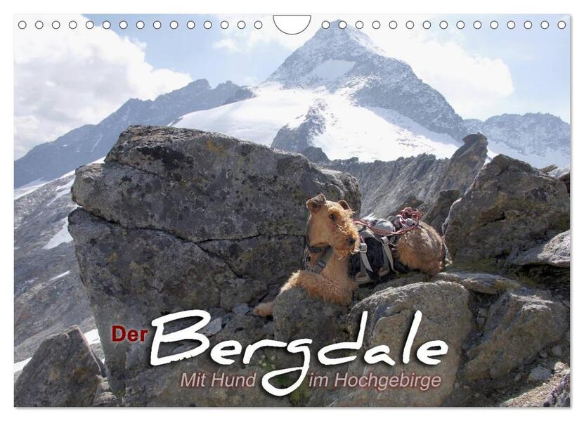 Der Bergdale - mit Hund im Hochgebirge (Wandkalender 2026 DIN A4 quer) CALVENDO Monatskalender