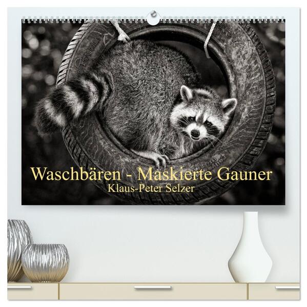 Waschbären - Maskierte Gauner (hochwertiger Premium Wandkalender 2026 DIN A2 quer) Kunstdruck in Hochglanz