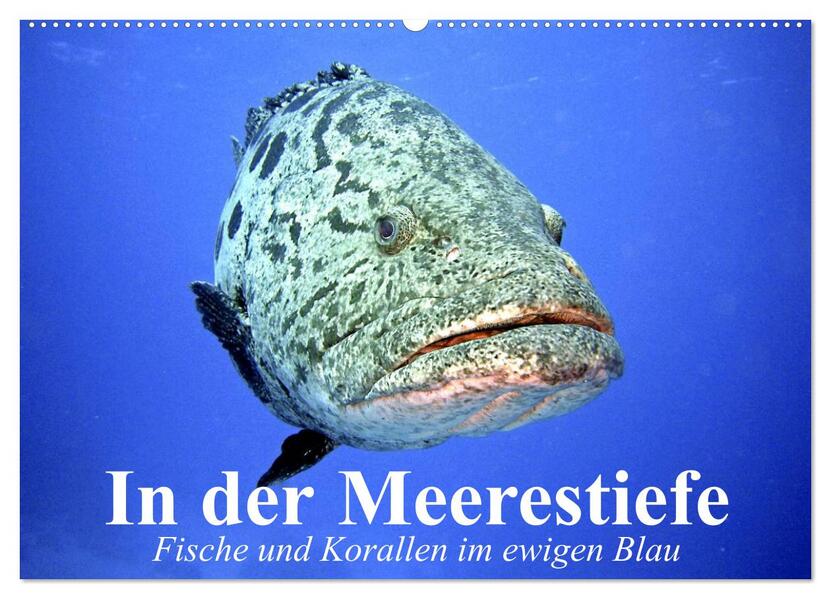 In der Meerestiefe. Fische und Korallen im ewigen Blau (Wandkalender 2026 DIN A2 quer) CALVENDO Monatskalender