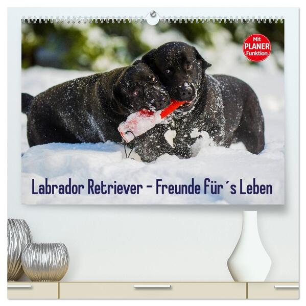 Labrador Retriever - Freunde fürs Leben (hochwertiger Premium Wandkalender 2026 DIN A2 quer) Kunstdruck in Hochglanz