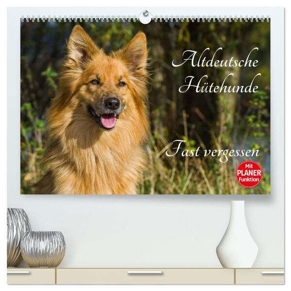 Altdeutsche Hütehunde - Fast vergessen (hochwertiger Premium Wandkalender 2026 DIN A2 quer) Kunstdruck in Hochglanz