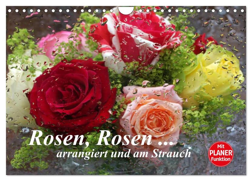 Rosen Rosen ... arrangiert und am Strauch (Wandkalender 2026 DIN A4 quer) CALVENDO Monatskalender