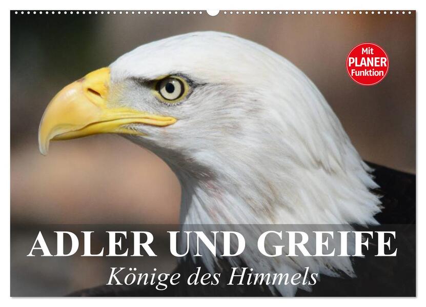Adler und Greife. Könige des Himmels (Wandkalender 2026 DIN A2 quer) CALVENDO Monatskalender