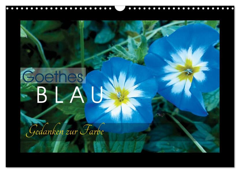 Goethes Blau. Gedanken zur Farbe (Wandkalender 2026 DIN A3 quer) CALVENDO Monatskalender