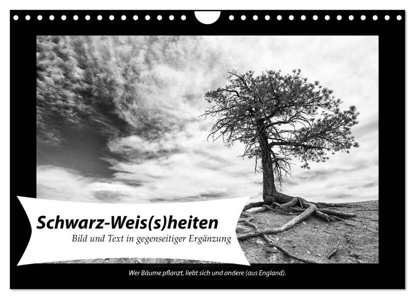 Schwarz-Weis(s)heiten (Wandkalender 2026 DIN A4 quer) CALVENDO Monatskalender