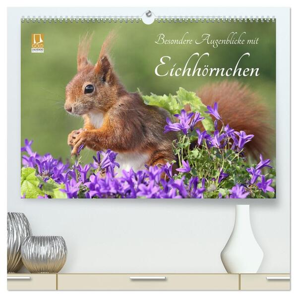 Besondere Augenblicke mit Eichhörnchen (hochwertiger Premium Wandkalender 2026 DIN A2 quer) Kunstdruck in Hochglanz