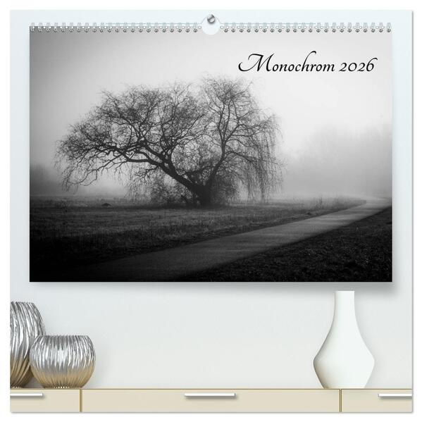 Monochrom 2026 (hochwertiger Premium Wandkalender 2026 DIN A2 quer) Kunstdruck in Hochglanz