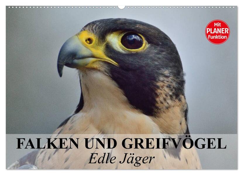 Falken und Greifvögel - Edle Jäger (Wandkalender 2026 DIN A2 quer) CALVENDO Monatskalender