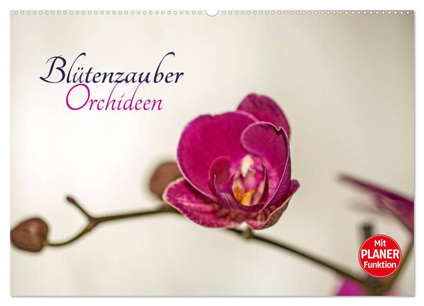 Blütenzauber Orchideen (Wandkalender 2026 DIN A2 quer) CALVENDO Monatskalender