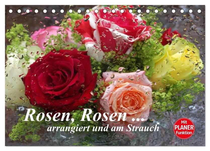 Rosen Rosen ... arrangiert und am Strauch (Tischkalender 2026 DIN A5 quer) CALVENDO Monatskalender