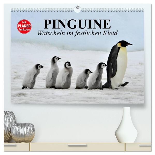 Pinguine - Watscheln im festlichen Kleid (hochwertiger Premium Wandkalender 2026 DIN A2 quer) Kunstdruck in Hochglanz
