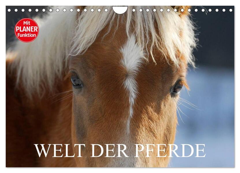 Welt der Pferde (Wandkalender 2026 DIN A4 quer) CALVENDO Monatskalender