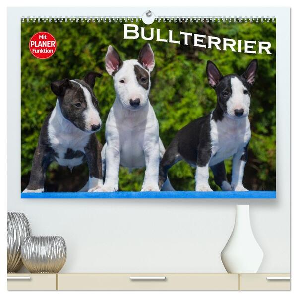 Bullterrier (hochwertiger Premium Wandkalender 2026 DIN A2 quer) Kunstdruck in Hochglanz
