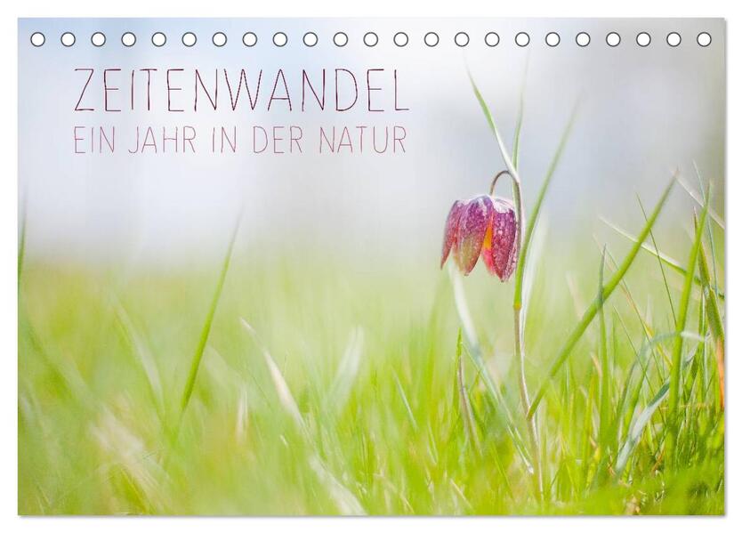 Zeitenwandel - Ein Jahr in der Natur (Tischkalender 2026 DIN A5 quer) CALVENDO Monatskalender