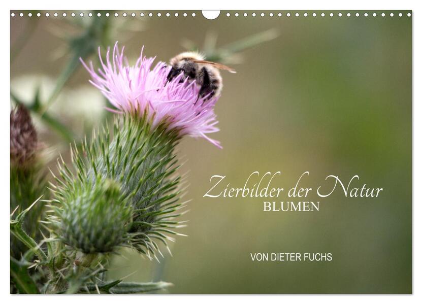 Zierbilder der Natur BLUMEN (Wandkalender 2026 DIN A3 quer) CALVENDO Monatskalender