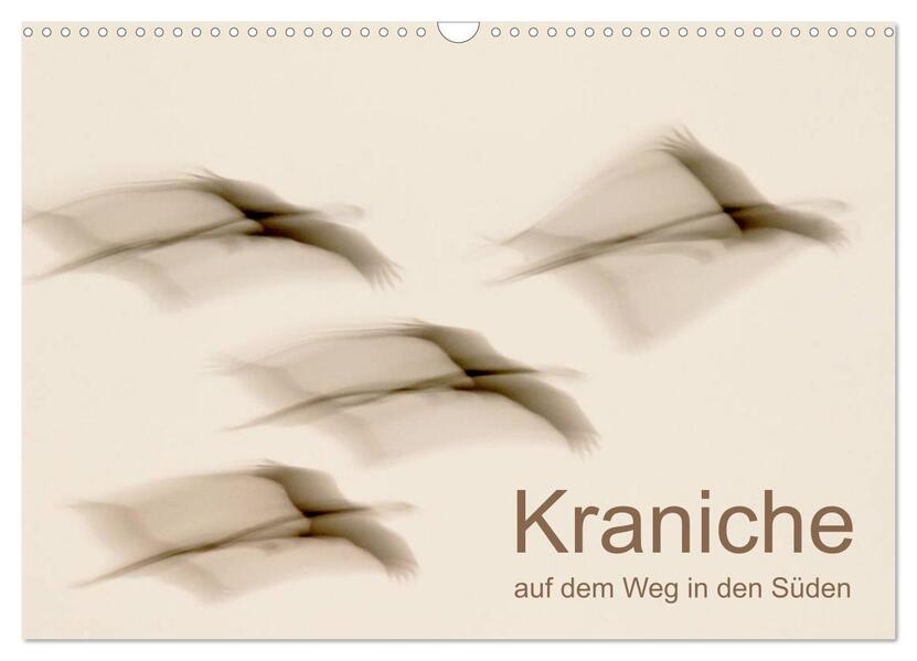 Kraniche auf dem Weg nach Süden (Wandkalender 2026 DIN A3 quer) CALVENDO Monatskalender