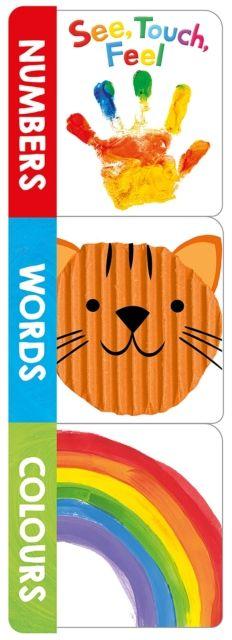 See Touch Feel Words Numbers Colours (Chunky Set)