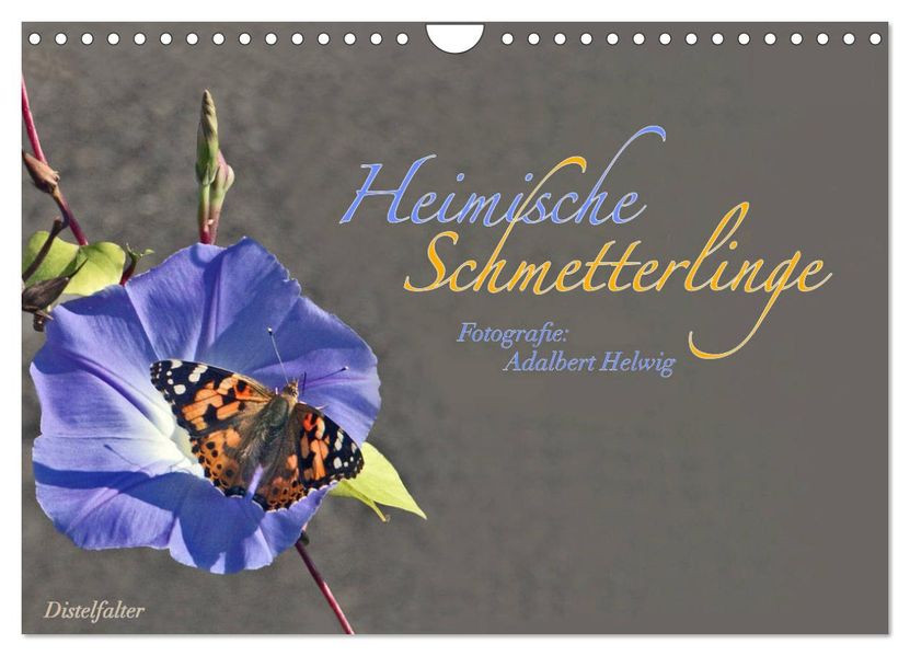 Heimische Schmetterlinge (Wandkalender 2026 DIN A4 quer) CALVENDO Monatskalender
