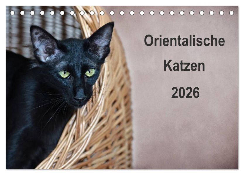 Orientalische Katzen (Tischkalender 2026 DIN A5 quer) CALVENDO Monatskalender