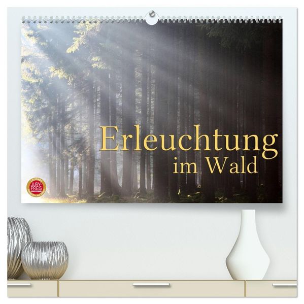 Erleuchtung im Wald (hochwertiger Premium Wandkalender 2026 DIN A2 quer) Kunstdruck in Hochglanz
