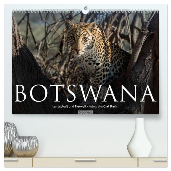 Botswana - Landschaft und Tierwelt (hochwertiger Premium Wandkalender 2026 DIN A2 quer) Kunstdruck in Hochglanz