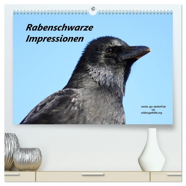 Rabenschwarze Impressionen - meike-ajo-dettlaff.de via wildvogelhlfe.org (hochwertiger Premium Wandkalender 2026 DIN A2 quer) Kunstdruck in Hochglanz