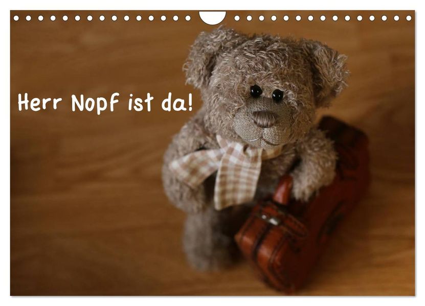 Herr Nopf ist da! (Wandkalender 2026 DIN A4 quer) CALVENDO Monatskalender