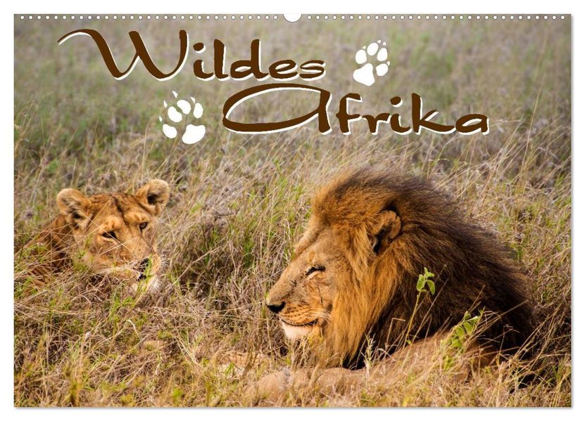 Wildes Afrika (Wandkalender 2026 DIN A2 quer) CALVENDO Monatskalender