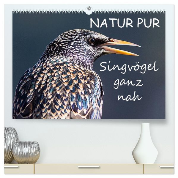 NATUR PUR - Singvögel ganz nah (hochwertiger Premium Wandkalender 2026 DIN A2 quer) Kunstdruck in Hochglanz
