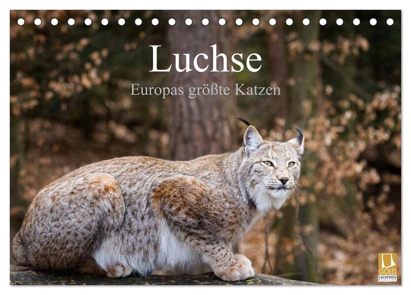 Luchse - Europas größte Katzen (Tischkalender 2026 DIN A5 quer) CALVENDO Monatskalender