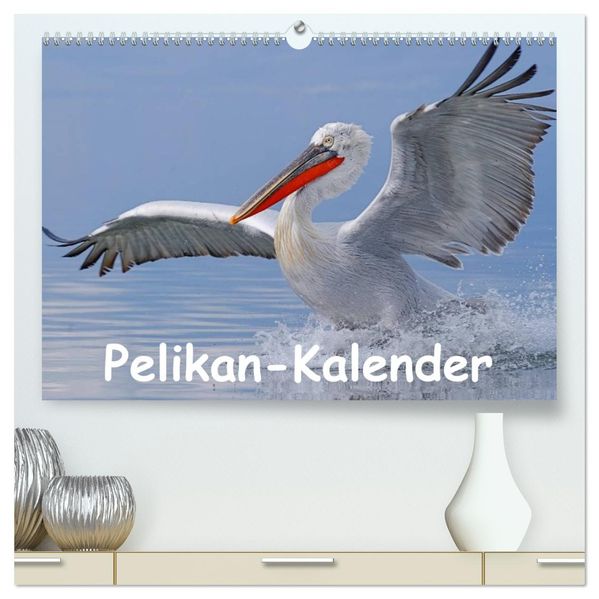 Pelikan-Kalender (hochwertiger Premium Wandkalender 2026 DIN A2 quer) Kunstdruck in Hochglanz