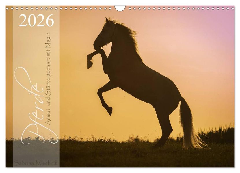 Pferde - Anmut und Stärke gepaart mit Magie (Wandkalender 2026 DIN A3 quer) CALVENDO Monatskalender