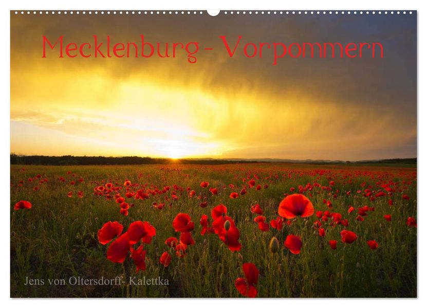 Mecklenburg - Vorpommern (Wandkalender 2026 DIN A2 quer) CALVENDO Monatskalender
