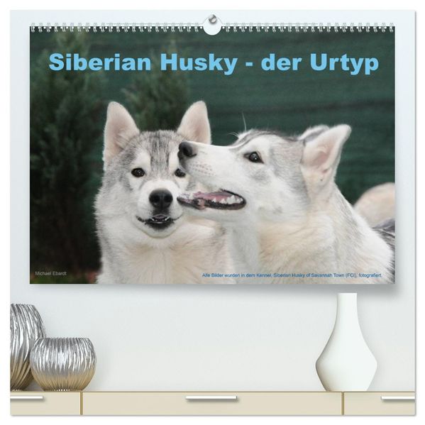Siberian Husky - der Urtyp (hochwertiger Premium Wandkalender 2026 DIN A2 quer) Kunstdruck in Hochglanz