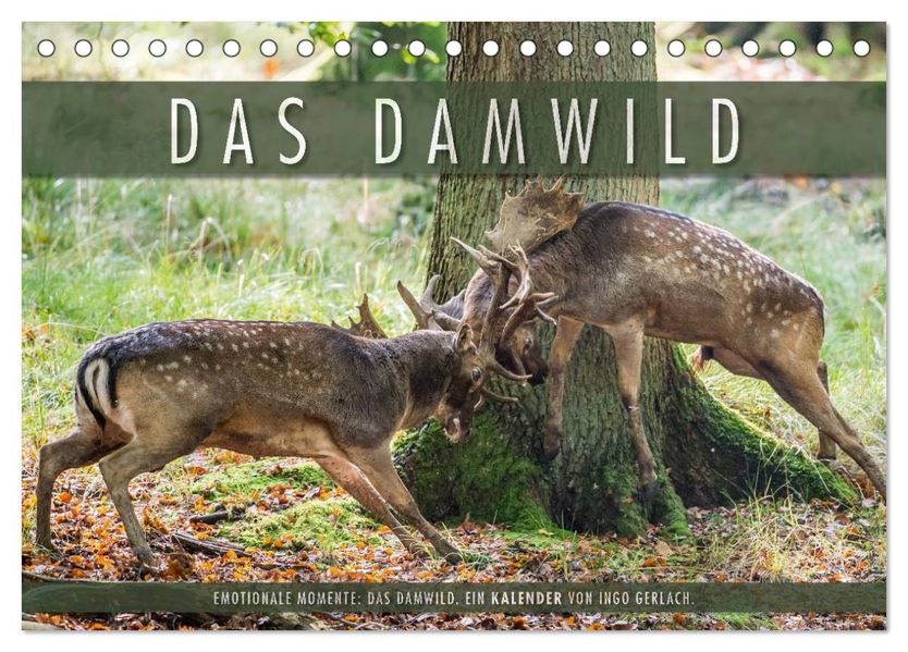 Emotionale Momente: Das Damwild. (Tischkalender 2026 DIN A5 quer) CALVENDO Monatskalender