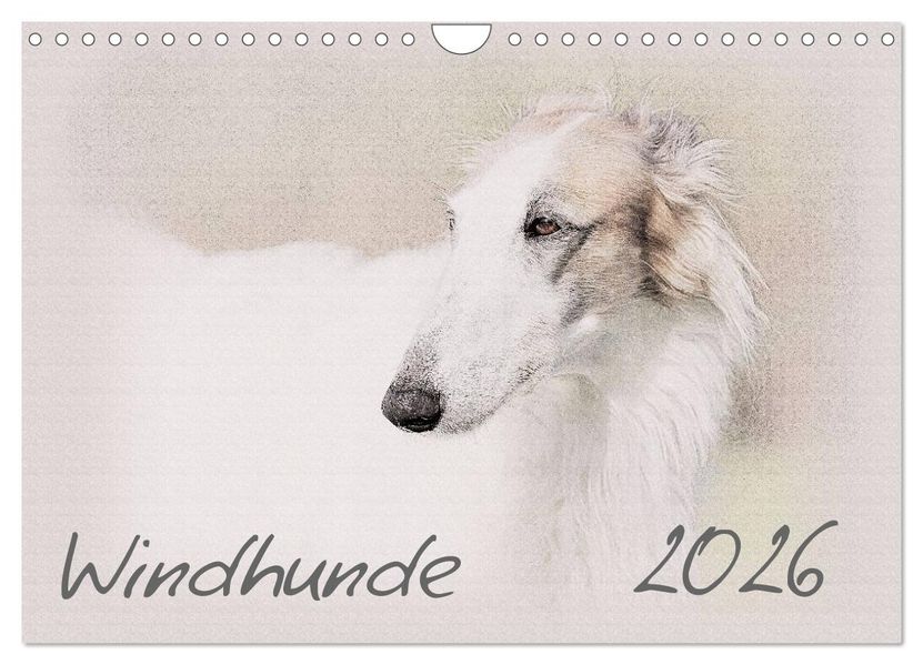 Windhunde 2026 (Wandkalender 2026 DIN A4 quer) CALVENDO Monatskalender