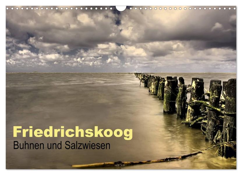 Friedrichskoog Buhnen und Salzwiesen (Wandkalender 2026 DIN A3 quer) CALVENDO Monatskalender