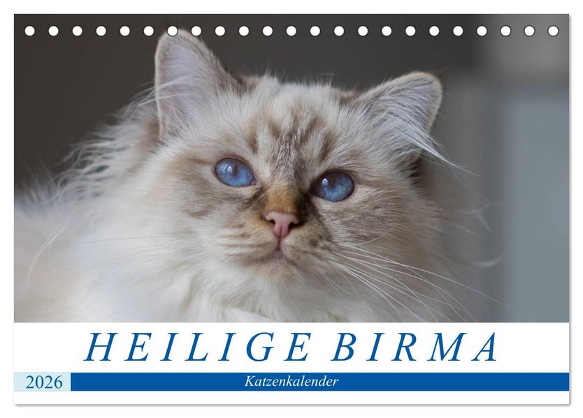 Heilige Birma Katzenkalender (Tischkalender 2026 DIN A5 quer) CALVENDO Monatskalender