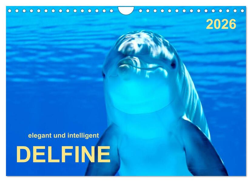 Delfine - elegant und intelligent (Wandkalender 2026 DIN A4 quer) CALVENDO Monatskalender