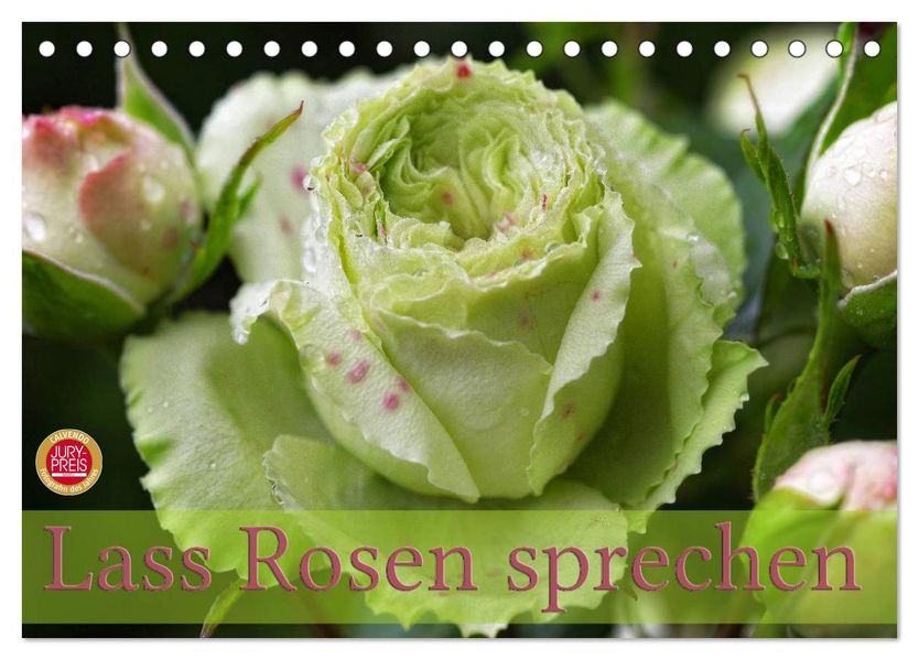 Lass Rosen sprechen (Tischkalender 2026 DIN A5 quer) CALVENDO Monatskalender