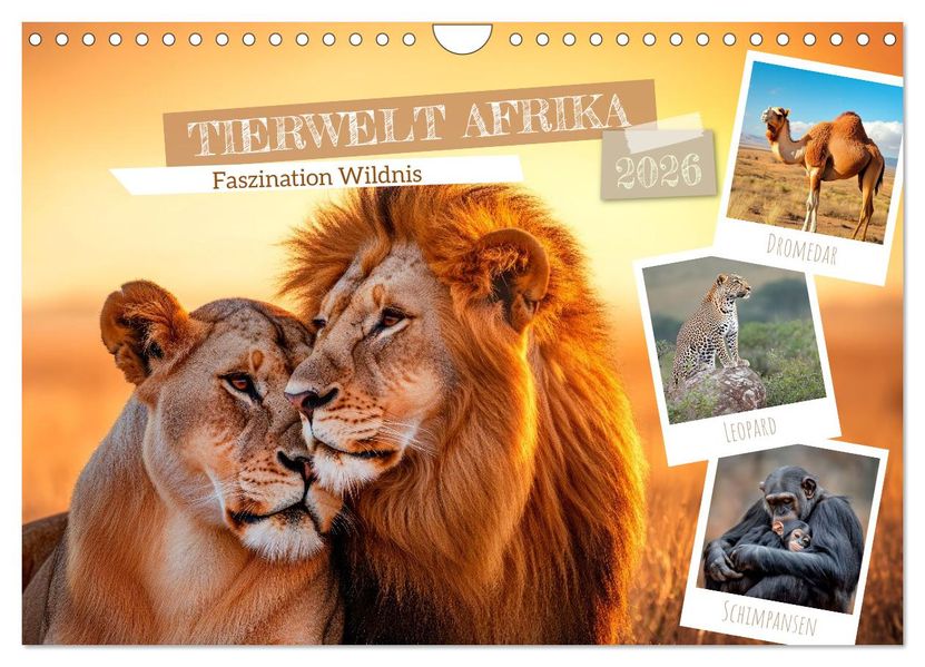 TIERWELT AFRIKA Faszination Wildnis (Wandkalender 2026 DIN A4 quer) CALVENDO Monatskalender