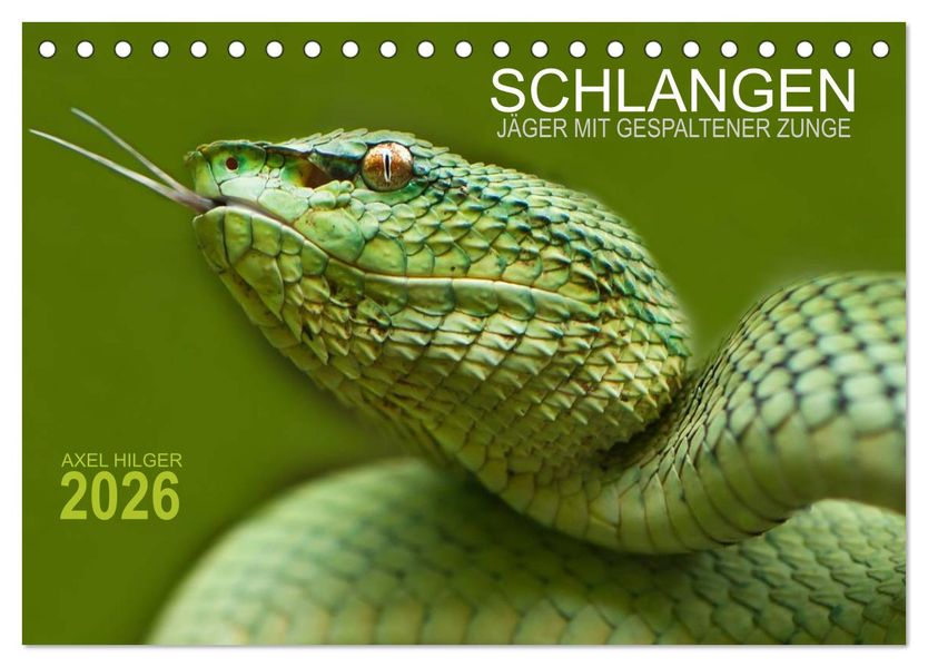 SCHLANGEN. JÄGER MIT GESPALTENER ZUNGE (Tischkalender 2026 DIN A5 quer) CALVENDO Monatskalender