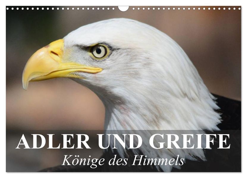 Adler und Greife - Könige des Himmels (Wandkalender 2026 DIN A3 quer) CALVENDO Monatskalender