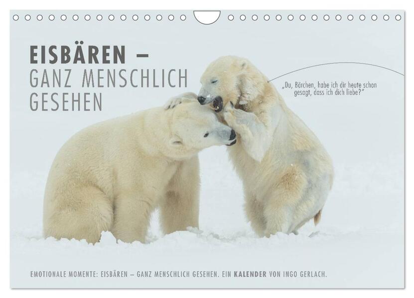 Emotionale Momente: Eisbären - ganz menschlich gesehen. (Wandkalender 2026 DIN A4 quer) CALVENDO Monatskalender