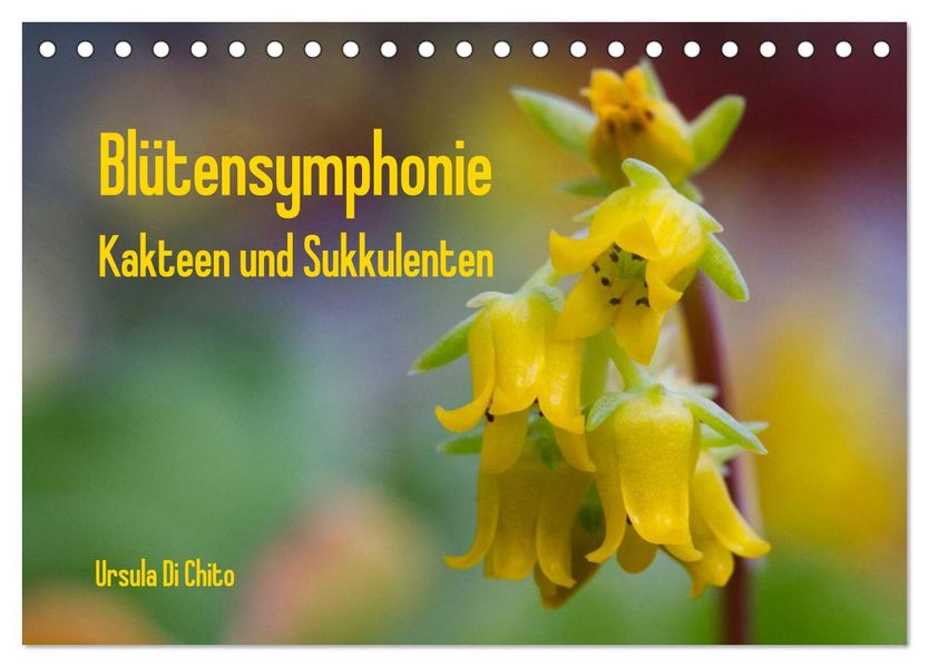 Blütensymphonie - Kakteen und Sukkulenten (Tischkalender 2026 DIN A5 quer) CALVENDO Monatskalender