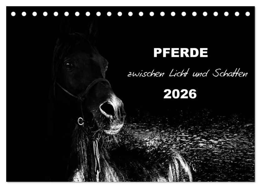 Pferde zwischen Licht und Schatten (Tischkalender 2026 DIN A5 quer) CALVENDO Monatskalender