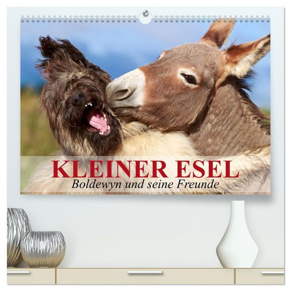 Kleiner Esel. Boldewyn und seine Freunde (hochwertiger Premium Wandkalender 2026 DIN A2 quer) Kunstdruck in Hochglanz